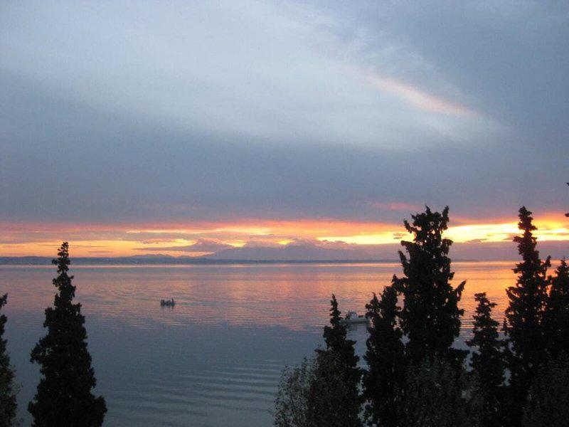 8F9785AB3C560FC29EE699B38848531F