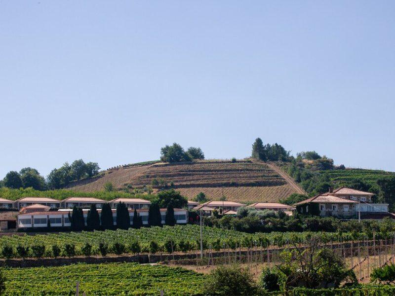 FFEAF820F4A6C7037FBFEEFBDE727A47