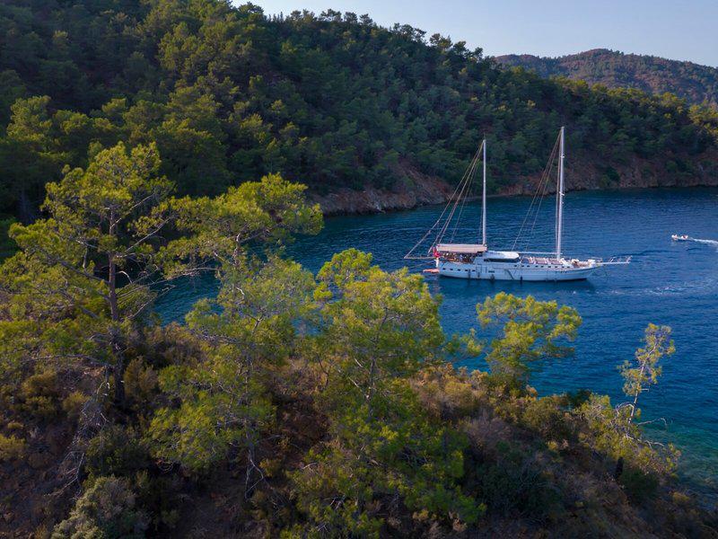 AB911AFACA6821A4087D0D8B926FB940