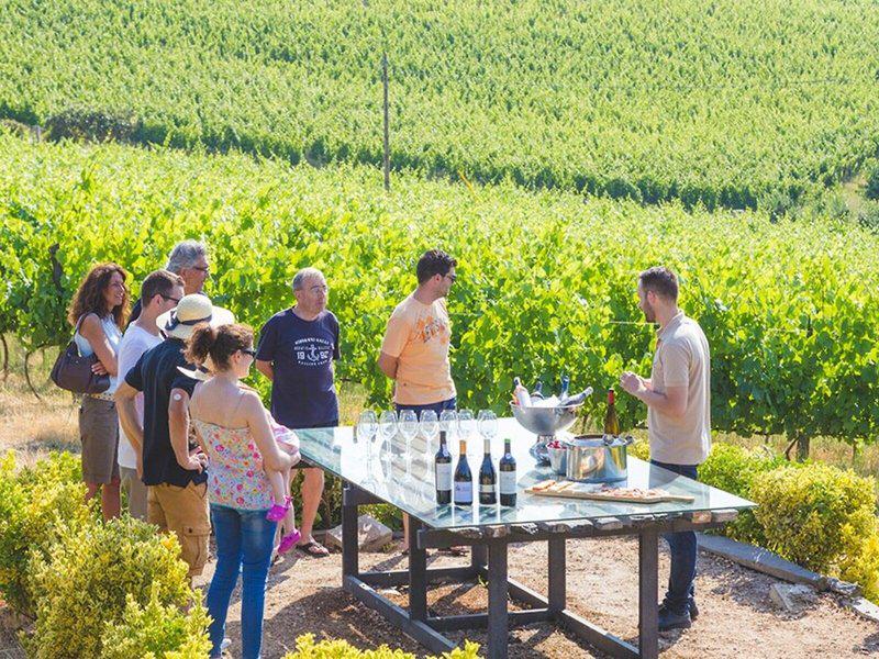 49E91FABBFF191D65992E5A4F4F7F4A6