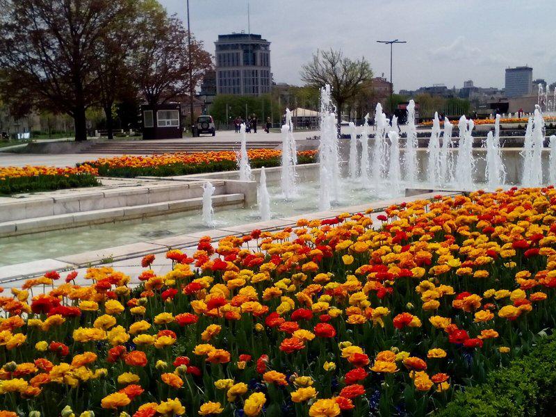 F0646ADEF3D77E1DCAA38B46C3F25DC9