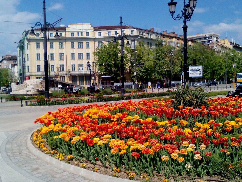 1E3038BB22F87B45B9AAA3A1708D9A2D