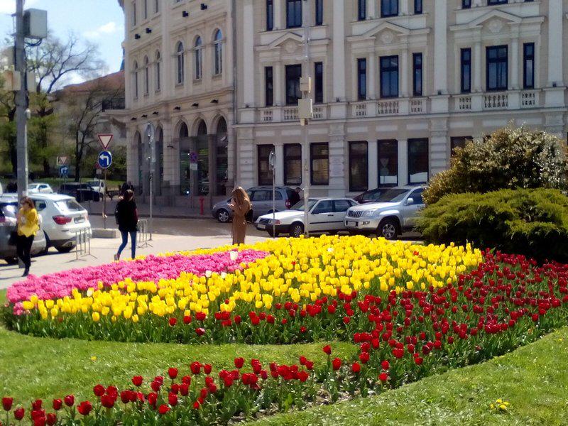 D9397A6A780379A8BB79B71E3693B583