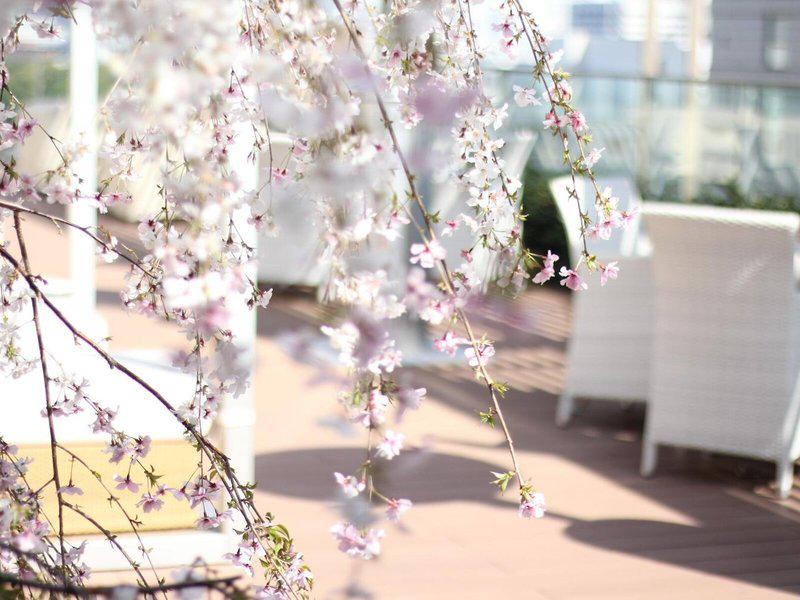 32CFDBCCD802EFEF47D4D357A414F7B9