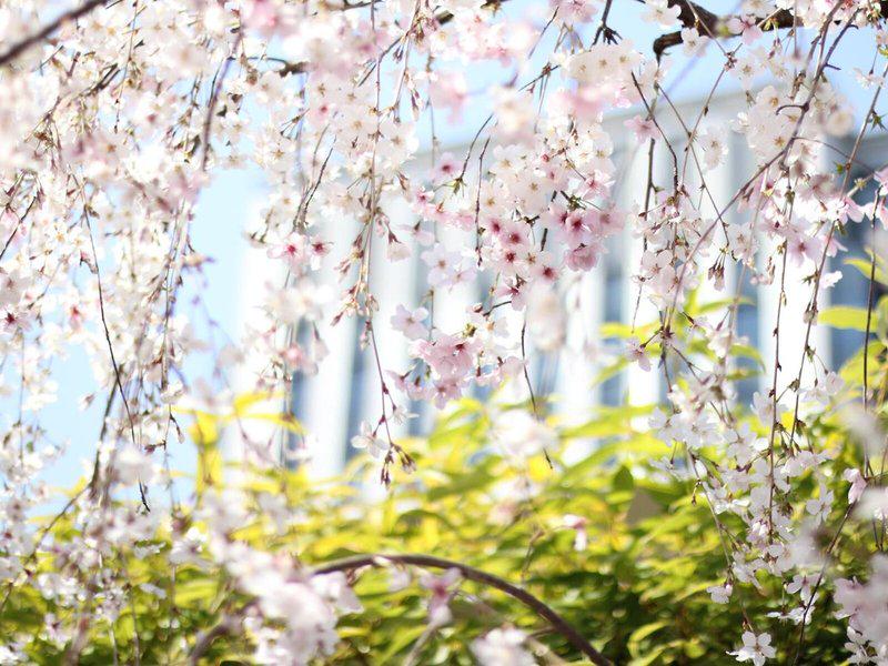 5DBC565DE679903D7CD580A35BB56548