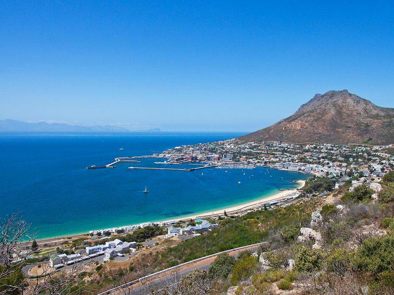 83066EB9A6A9910E74D220C697E99781