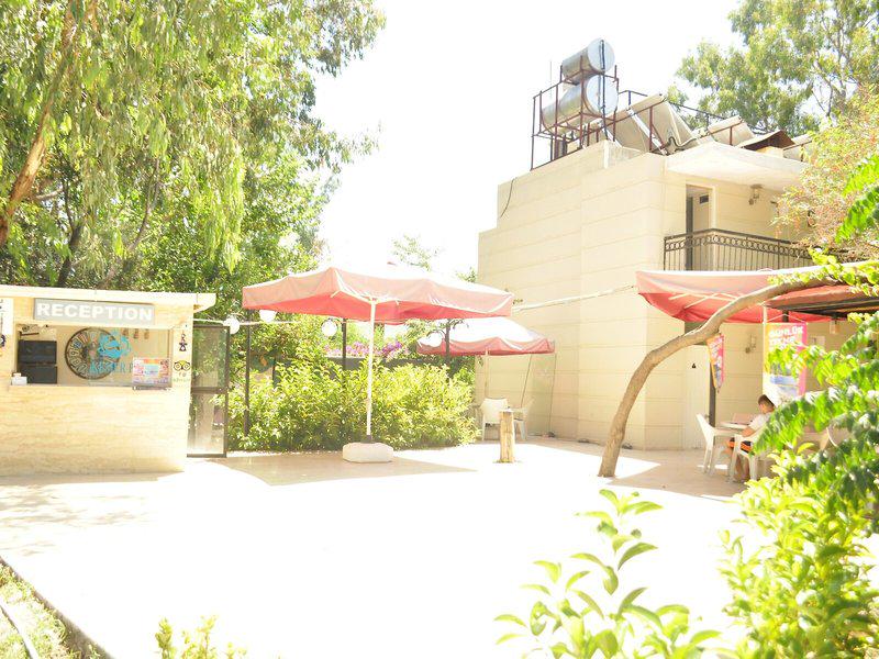 3488F73C03710ED9786BAB5A8F633B9C