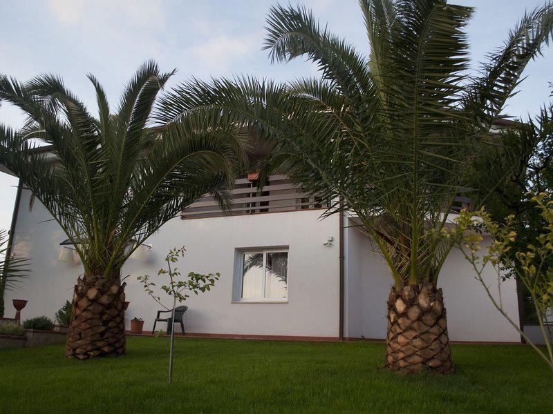 09AC0AE96530A0C12EE7E8DC47500414