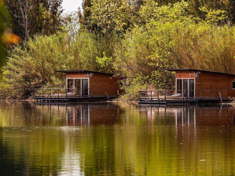 F26176A29F5BA85F79A18437DC2F1E8E