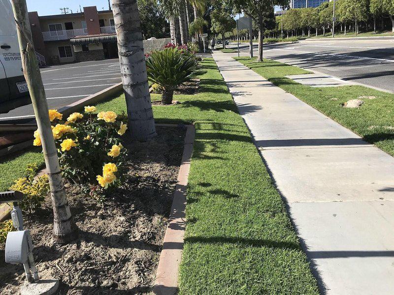 7544C2E8821E6D943B41172AF30FC0DD