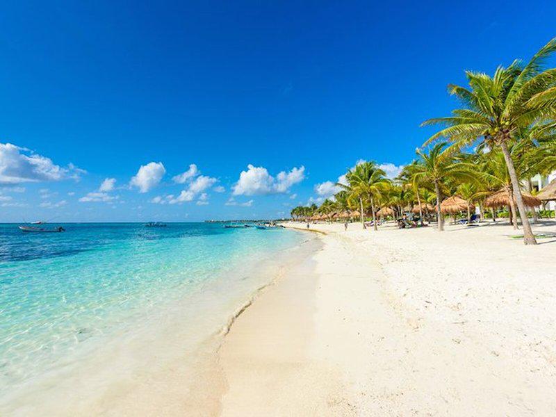 CB072B87E0EA5EE73D5A1AA2227AA578