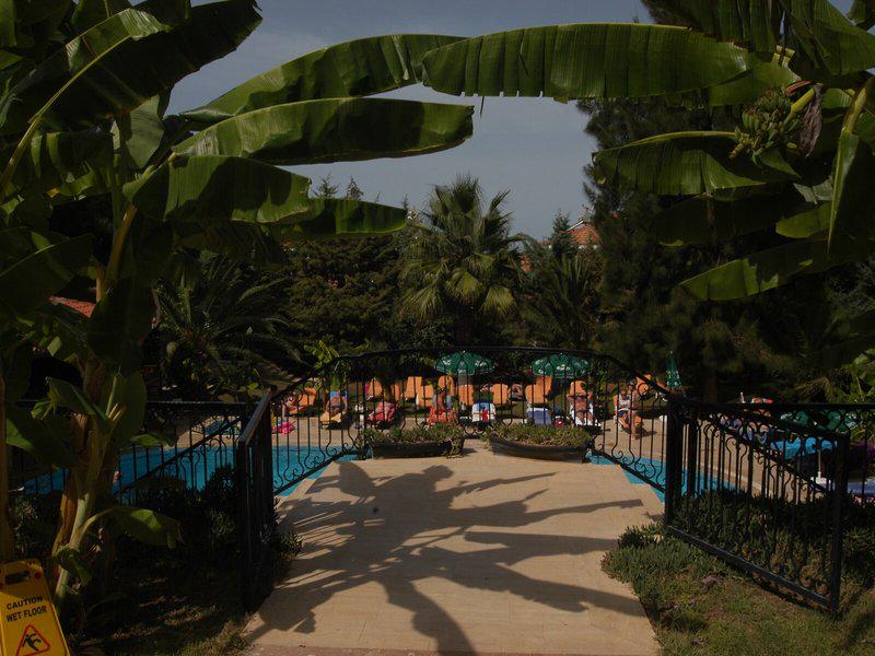 B302BEBE0068204BB1F2F5DB9375DCEA