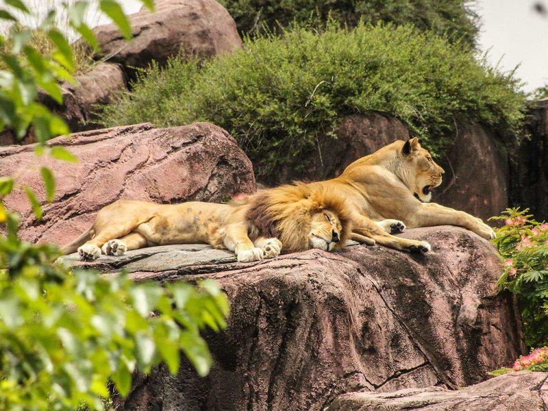 E335BCC1D09716AD6A3EC56F2D14E744