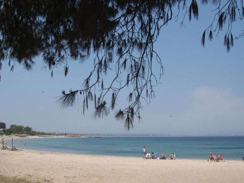 5756A4ADB0ED4ECCB8F7FD0F1EE587AD