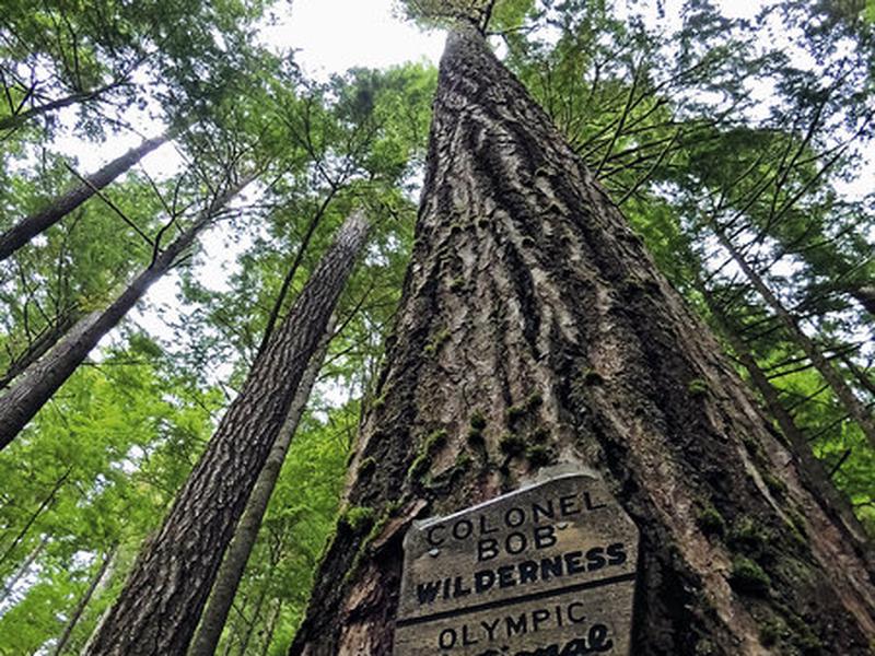 5434E28D9E04ACE75E787D57D25FFD7F