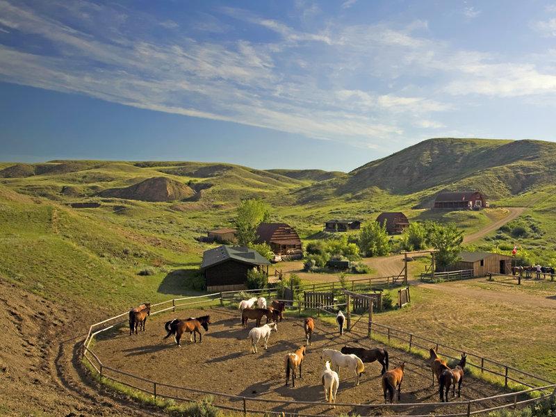 22499695DDC58B356B11A83A7AB61971