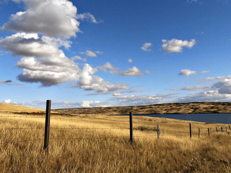 5DB47D65ED86B11CBAB4A811531BD715