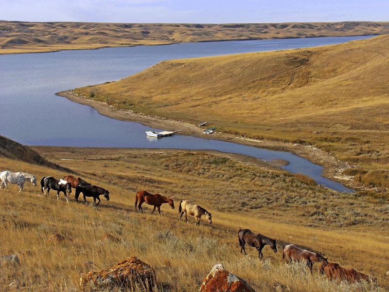 9B154E4756D5A4BFF1A4CBD5663B6E58