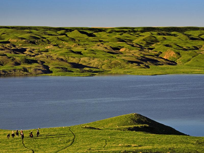 C2158C850E7E42D08C10592E5073FDC3