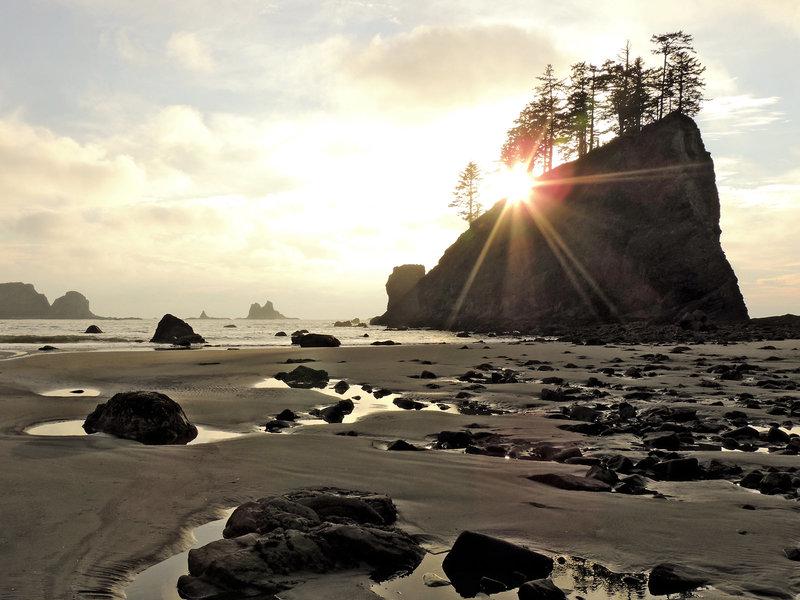 3206CC2A734402690752B1CB53D24288