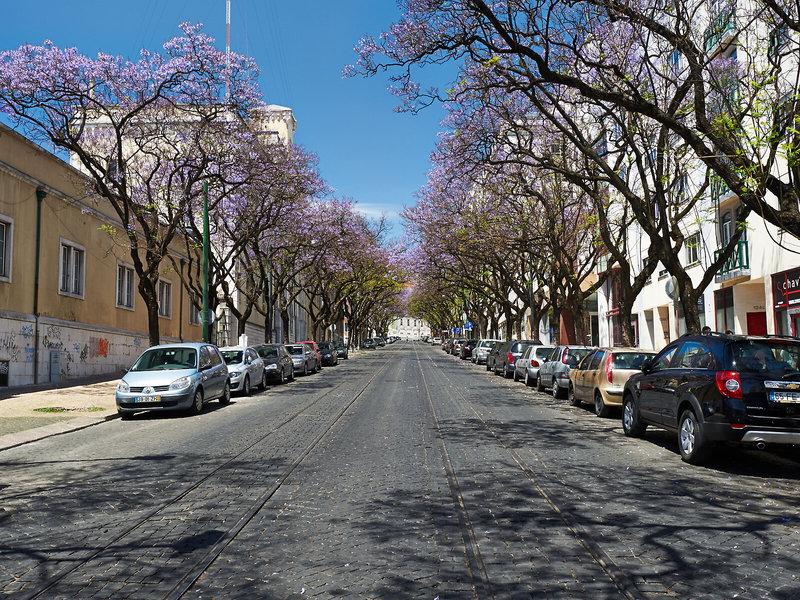 D0387DEFD6C5DA185B62C72947C458E5