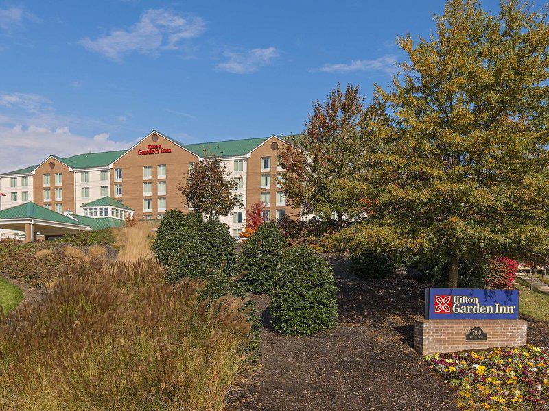 9CDE7087530170516D967D352731BE0D