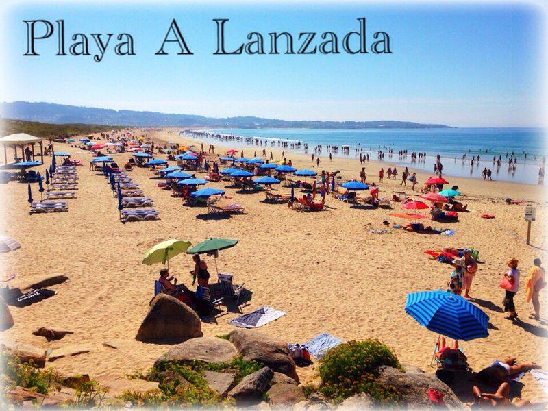 FDC5FF117D04DF4D3EA9761E1B5CA3B0