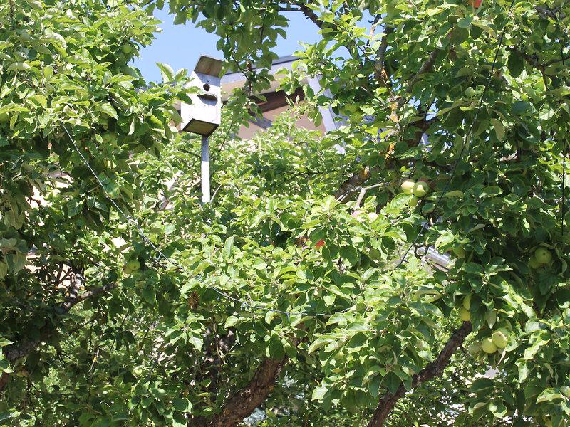 ED86277F50670E25D8B9E62A48ACAE38