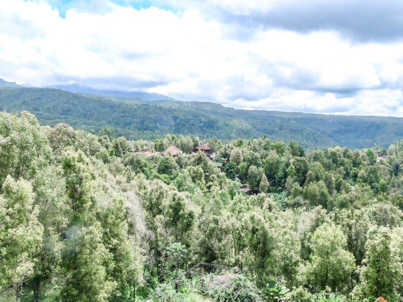 9E474125AA359DECAECAF5AF09ED7CA0