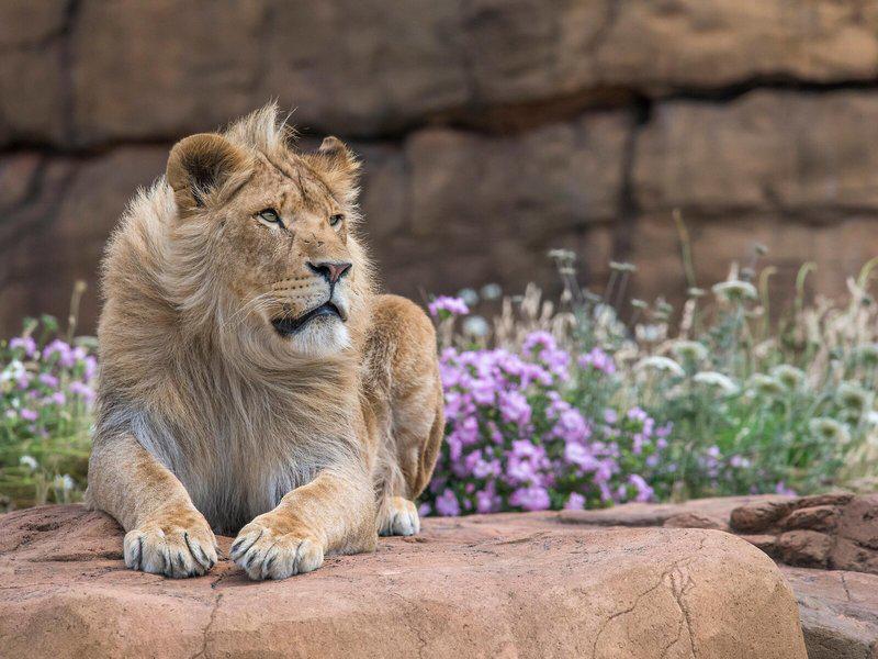 B1C8ECF43B08C78FE78364C160CFDF8B