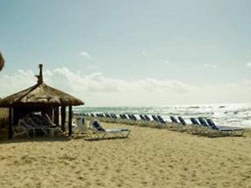 6D0B0C3C1951C730FEB02B7CB127606B