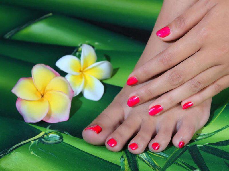 A65C81352555D7D80336ACBAAB7E6DA0