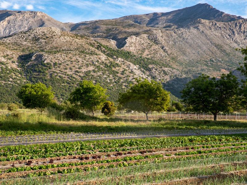 A79B51B900085352100A1D84B1B982EA