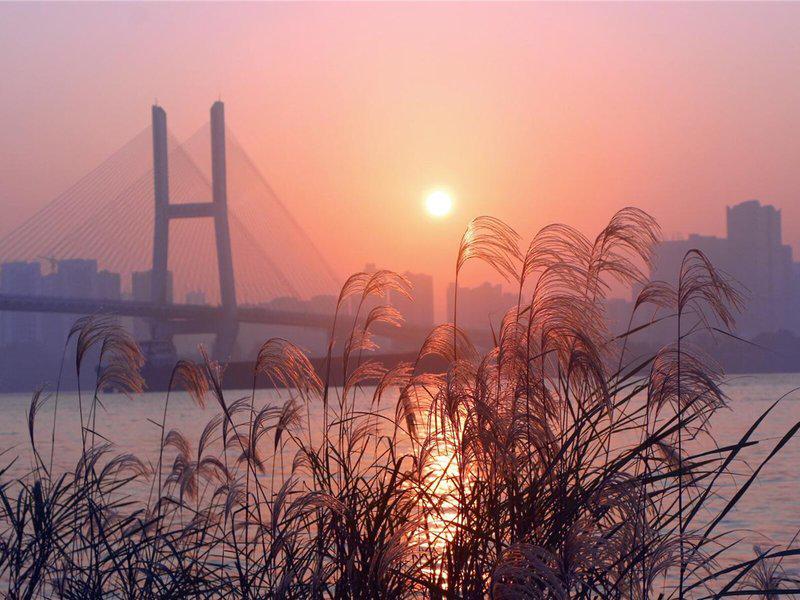 F5ECB0D733793D2298E453F59DB39F1A