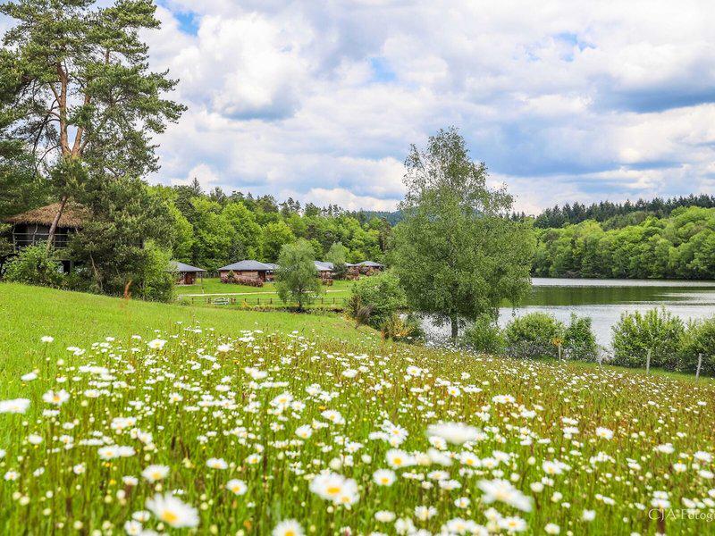 62C83F9D6DF6D99DD7E59BD09FAE0AB6