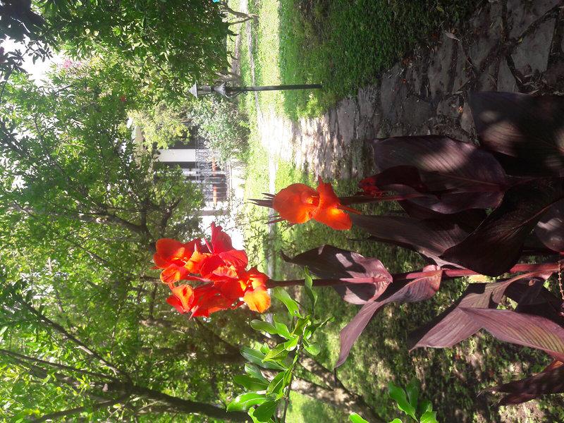 5D016BB2AD2C87C75C2280BAF4329948