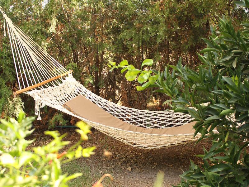 21AF2939ED3332EED376D9C3479EFF5B