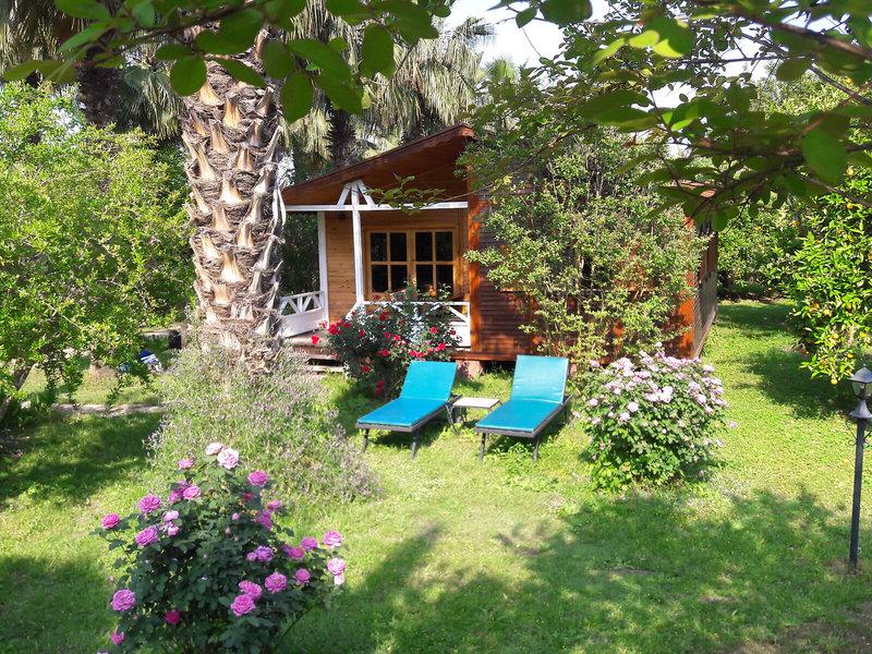 A25E44037FC181E1D2501C90BCE1319E