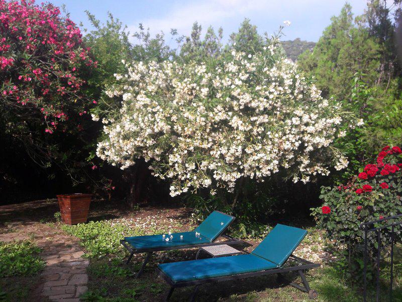 C24459E5307A2B43944471E2E23D0A5E