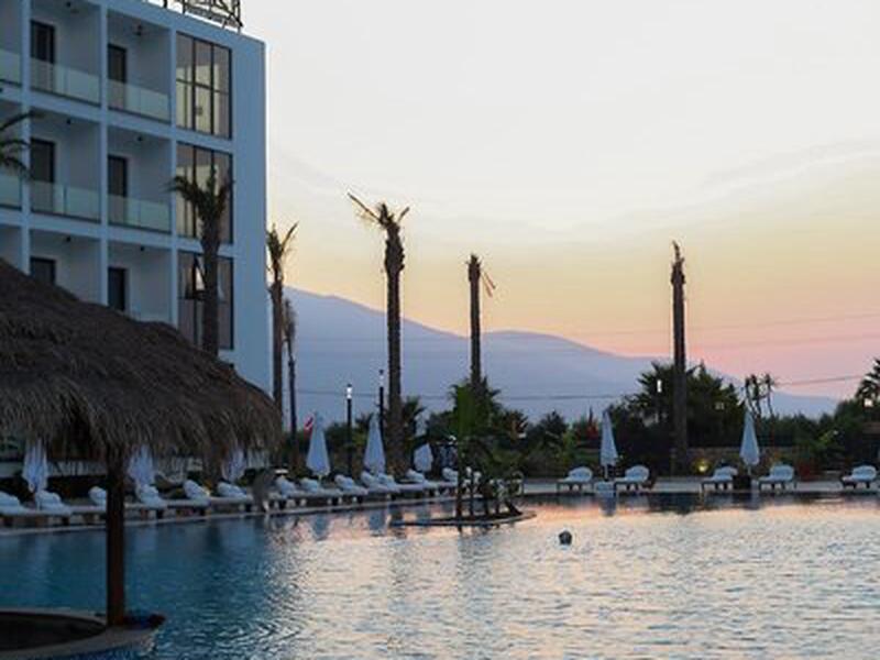 04D30EF772C01677C6FEE822BF9C4779