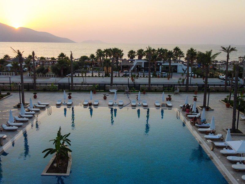 7C8E2CA0239719AA8E65FF55E97C7A79