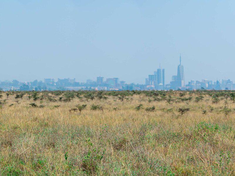 1F914B84B6755E860936060D0F6E6011