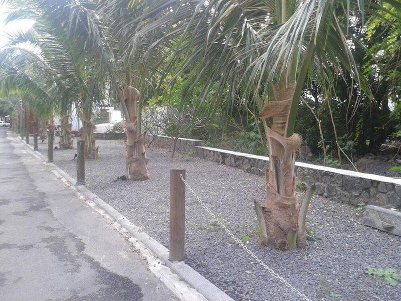 CD39AA3100B747E549BCA7FBC352BA86