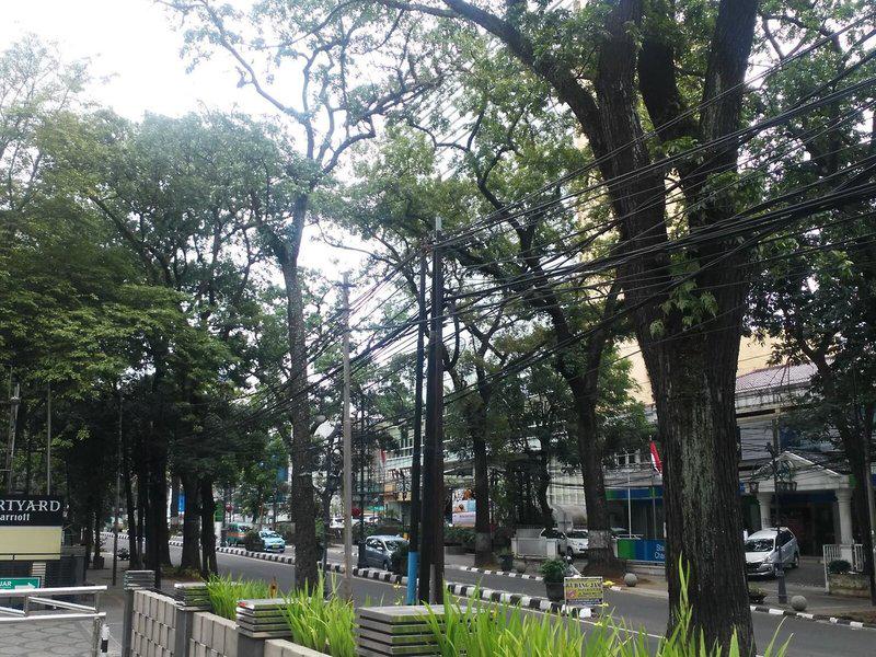 99618BC0A0F97092C9C0E77730E3FB0F