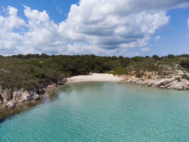 B0E8F565D87F8221553609E767A54271