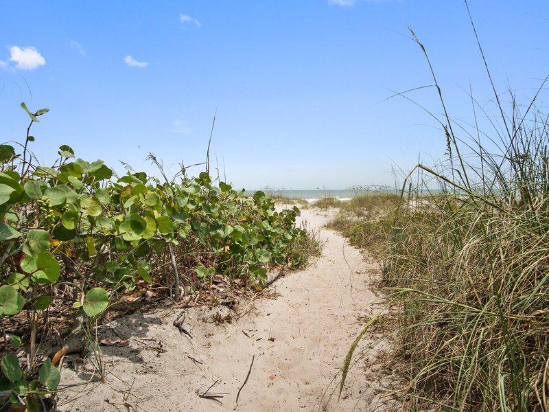 198C4889ACCC22975E7C5FE34C972A09