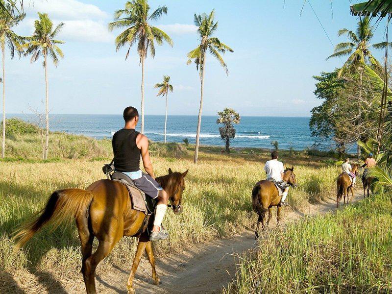 D95F7C8BA0772E73FF8E1EF22D84FBB4