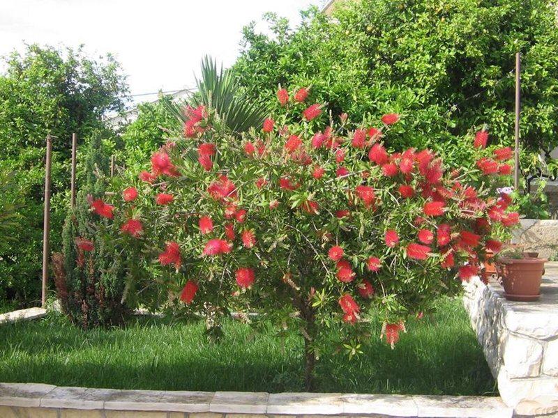 E0104A8A214A2679733DA2FDA85B2958