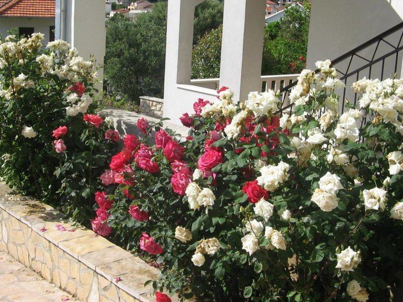 821385A3708004EA0087D62AB39D9AAF