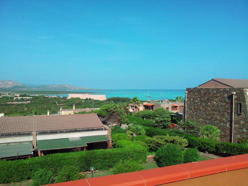 8A0B98362A255E050DE4618D37559798